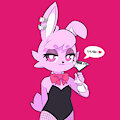 Bunny Suit