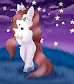 starnight