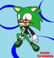 scourge the hedgehog