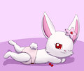 Relaxing bun