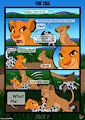 The Tail: The Continuation