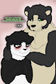Adopting Panda
