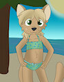 New Submission by skyflys