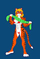 2022 Year of the Tiger