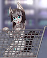 Out shopping~ by NotHyperion