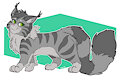 Feral Brunn