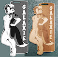 Wood Badge for Galaxie