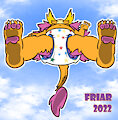 Friar's Trainers