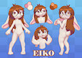Eiko Reference Sheet