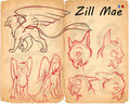 Zill Mae Ref Sheet - WIP
