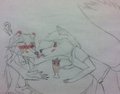 Maylin and Aleksander  by MaylinTheArcticWolf
