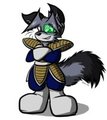 Virgeta