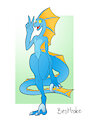Blue Skink