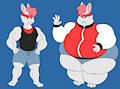 Fit Fat Rabbit Twins