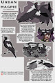 CRITTER CREATION_URBAN MAGPIE