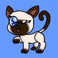 LPS 005 Siamese Cat redraw