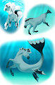 Hippocampus Jan
