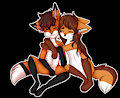 Foxes in love
