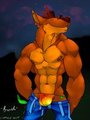 BRASH BANDICOOT by eW01F