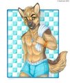 G-shep by Kashmere