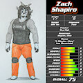 Zach Shapiro - Bio