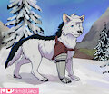 Artfight: Wild by Nakoo