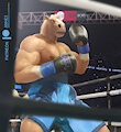 Boxer Horse 1 by Anhes