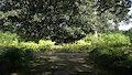 HB background by ChairmanSqeek