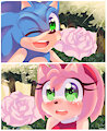 Sonamy X 52