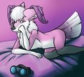 As Pink as Can Be