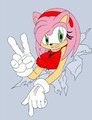 Amy Project 