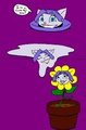 Kitty Concepts (ColRequest) 