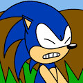 Sonic Trips