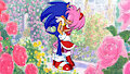 Amor Sonic X Amy