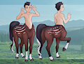 Aminos the Centaur