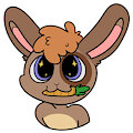 I FOUND A CARROT!