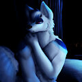 A Sombre Night by ThatCatObsessedDemon