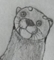 Otter