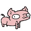 Pigpig Waiting..
