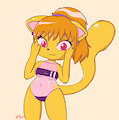 Gris Swimsuit
