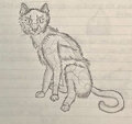Fluff and Fury, thats a Cat by WisleyChalke