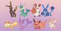 Pudi evolutions