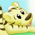 Rintoo Scritchies