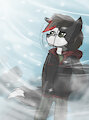 Snowstorm