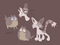 Warrior cats designs