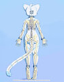 Bony on the Inside by Saucy