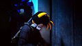 Check behind the door by donutmario
