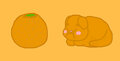 Orange Cat