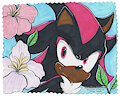 Flower Shadow