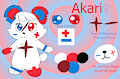 Akari ref sheet